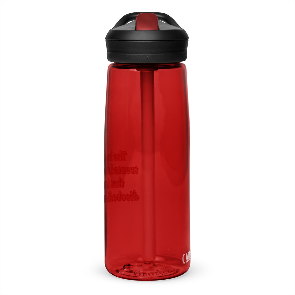 Sports water bottle