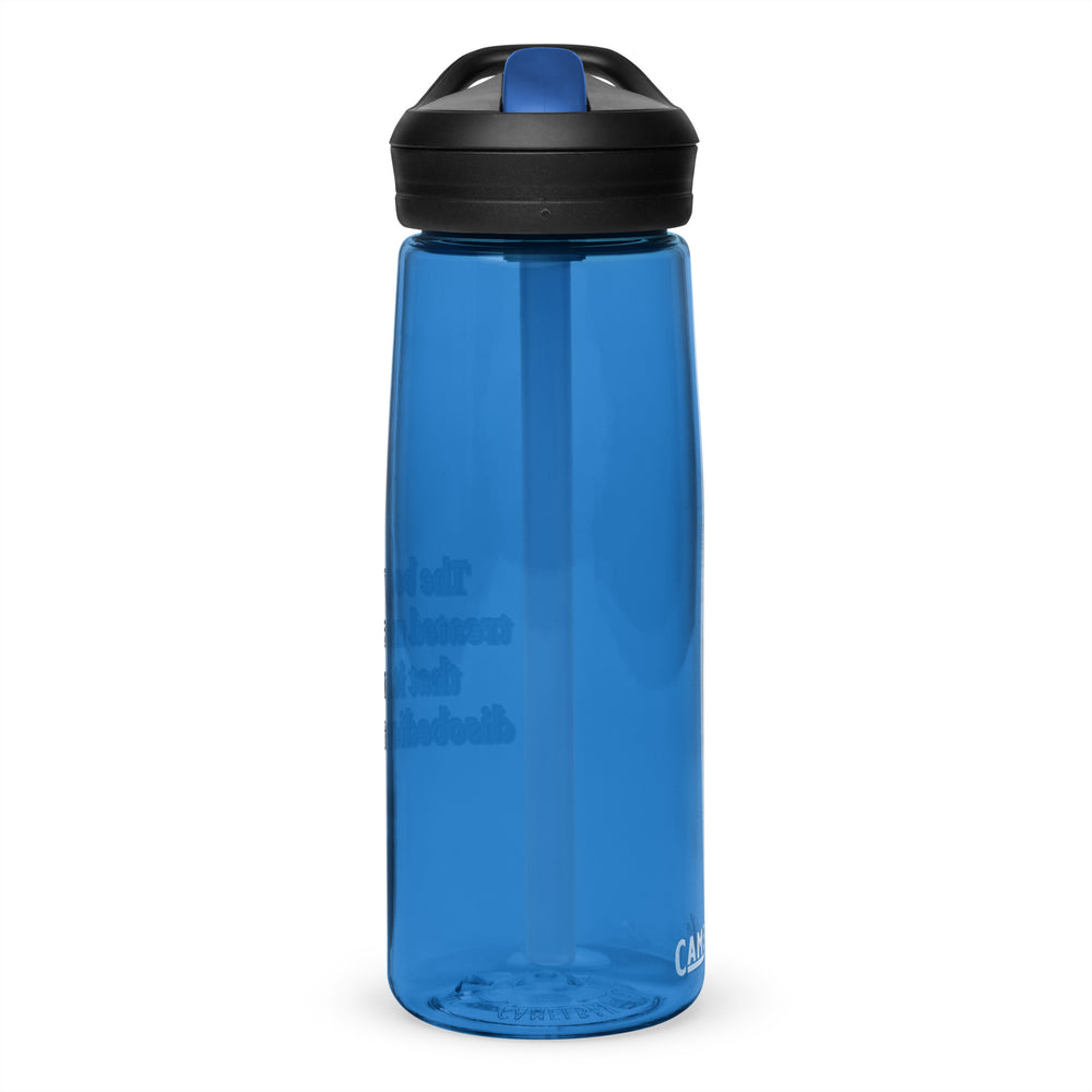 Sports water bottle